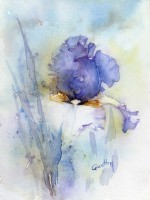 /album/quathy/quathy-quathy-aquarelle-iris-bleu-jpg-449x600-jpg/